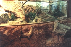 Afrika, ZOO Praha